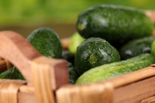 http://localhost/femeia/wp-content/uploads/2013/06/20/0002982124ii-849x565.jpg