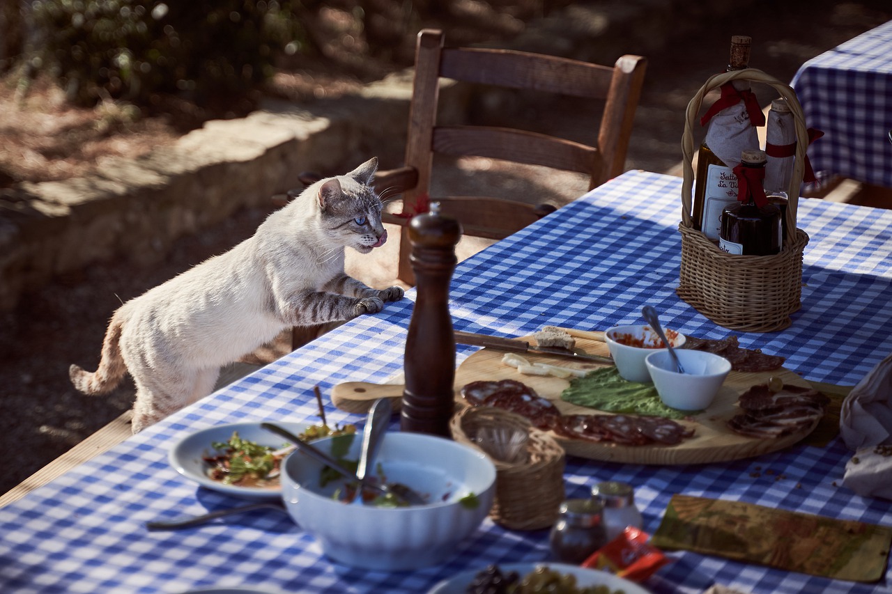 alimentatie animale de companie