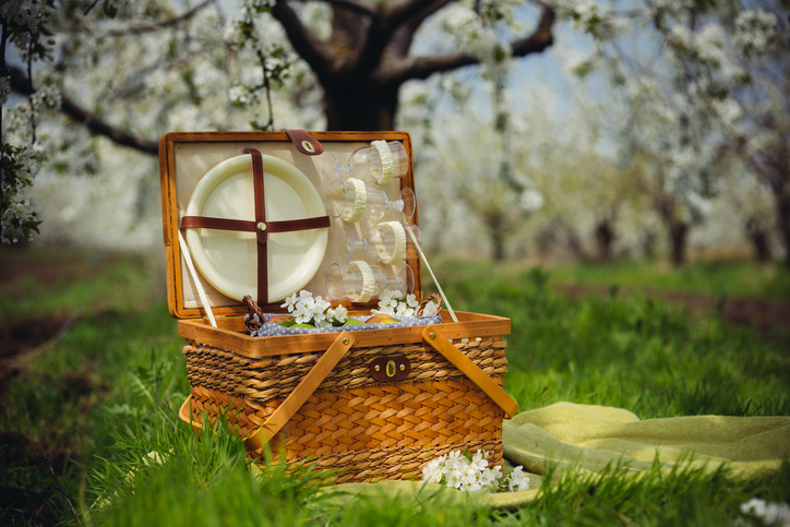 cos de picnic pe iarba