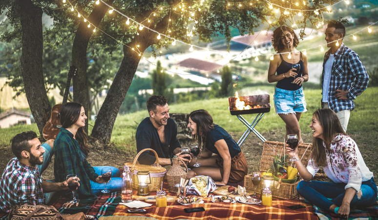 prieteni la picnic