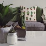 Energii feng shui pentru prietenii trainice
