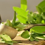 5 plante pentru o digestie ușoară 5 plante pentru o digestie ușoară