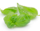http://localhost/femeia/wp-content/uploads/2012/03/21/1-1568.png