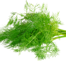 http://localhost/femeia/wp-content/uploads/2012/03/21/1-1570.png