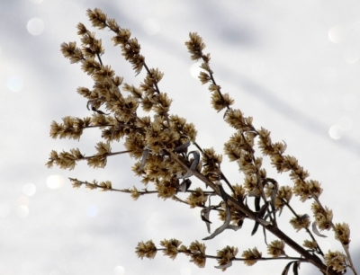 http://localhost/femeia/wp-content/uploads/2012/03/21/2-112.jpg