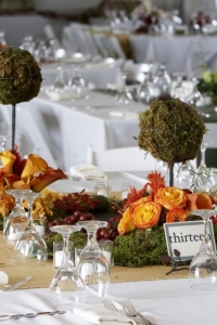http://localhost/femeia/wp-content/uploads/2012/03/21/art-323.jpg