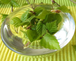 http://localhost/femeia/wp-content/uploads/2012/03/21/m.png