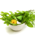 http://localhost/femeia/wp-content/uploads/2012/03/21/plante-naturiste.png