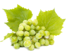 http://localhost/femeia/wp-content/uploads/2012/03/21/struguri.png