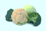 http://localhost/femeia/wp-content/uploads/2012/03/21/varza.png