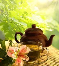 http://localhost/femeia/wp-content/uploads/2013/03/26/3-plante-slabesc-mica.jpg