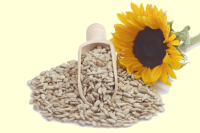 http://localhost/femeia/wp-content/uploads/2013/08/13/floarea-soarelui.png