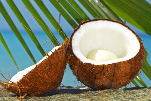 Nuca de cocos, aliat in dieta de toamna