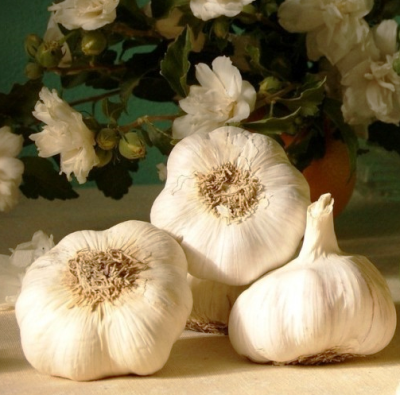 http://localhost/femeia/wp-content/uploads/2013/11/30/mananca-usturoi.png