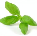 http://localhost/femeia/wp-content/uploads/2014/04/08/1-152.jpg