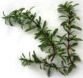 http://localhost/femeia/wp-content/uploads/2014/04/08/1-153.jpg