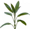 http://localhost/femeia/wp-content/uploads/2014/04/08/2-52.jpg