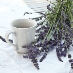 Lavanda, tratamente naturiste