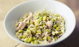 soybean-933026_960_720