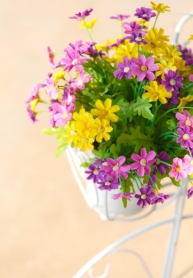 http://localhost/femeia/wp-content/uploads/2014/08/21/id-10087757.jpg