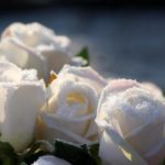 Nascuti in ianuarie. Ce au in comun cei care au venit pe luma in prima luna a anului