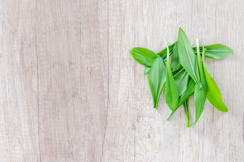 Leurda, usturoiul sălbatic plin de vitamine