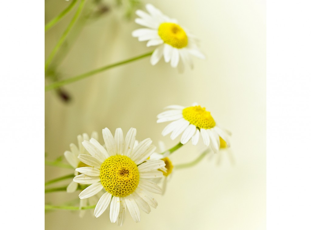 Remedii simple impotriva enterocolitei