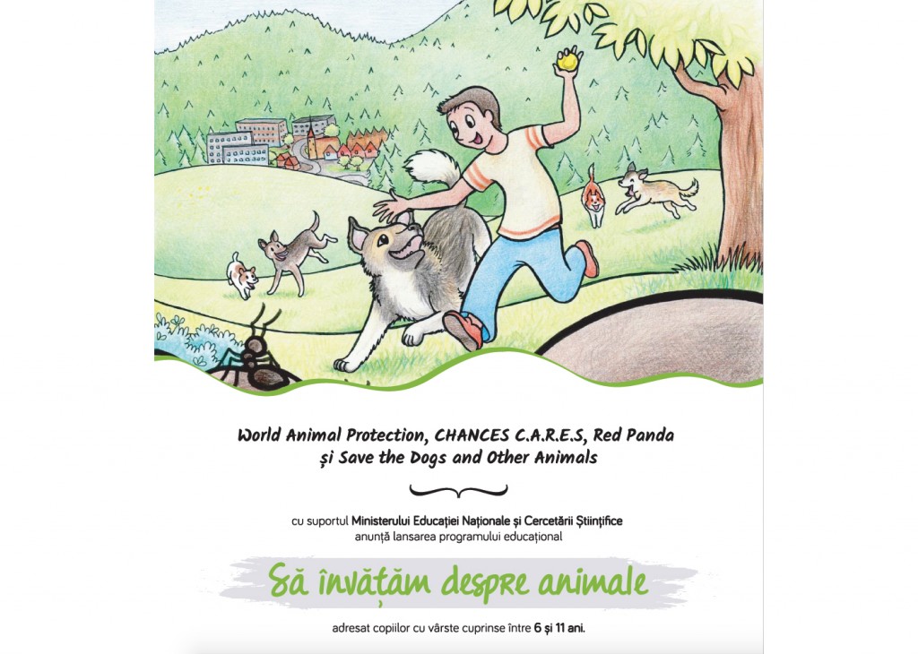 Să învățăm despre animale