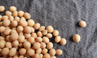 soybeans-182295_960_720