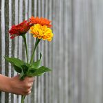 Obiceiuri care aduc fericirea