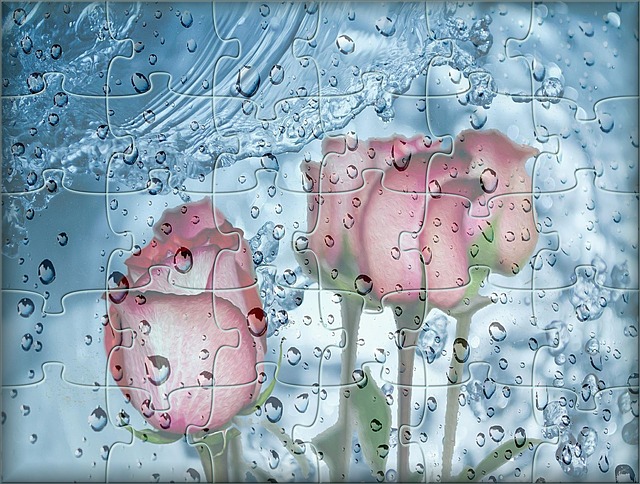 puzzle