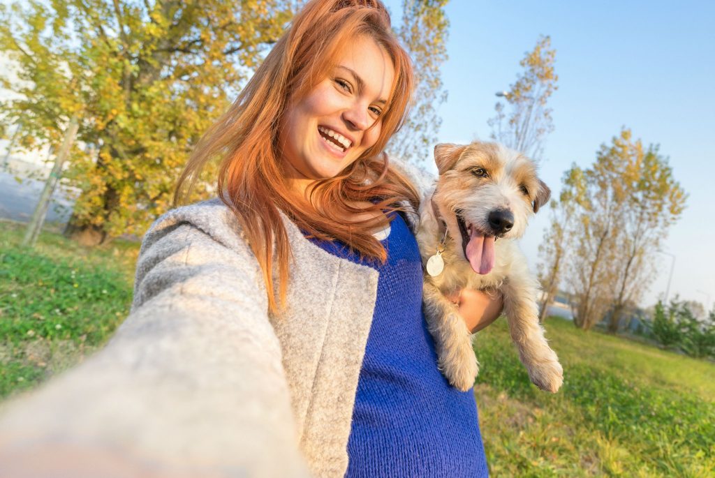 4 trucuri pentru a avea o casă sclipitoare când ai animale de companie. E foarte ușor!