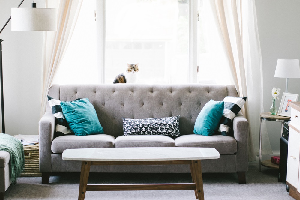 canapea living scandinav