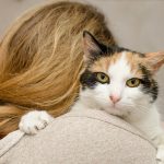 Greșeli de alimentație din iubire față de animalul tău