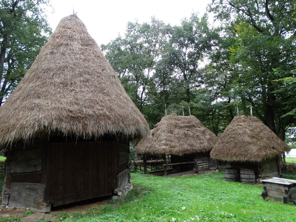 Hai în Dumbrava minunată, la Muzeul Astra!