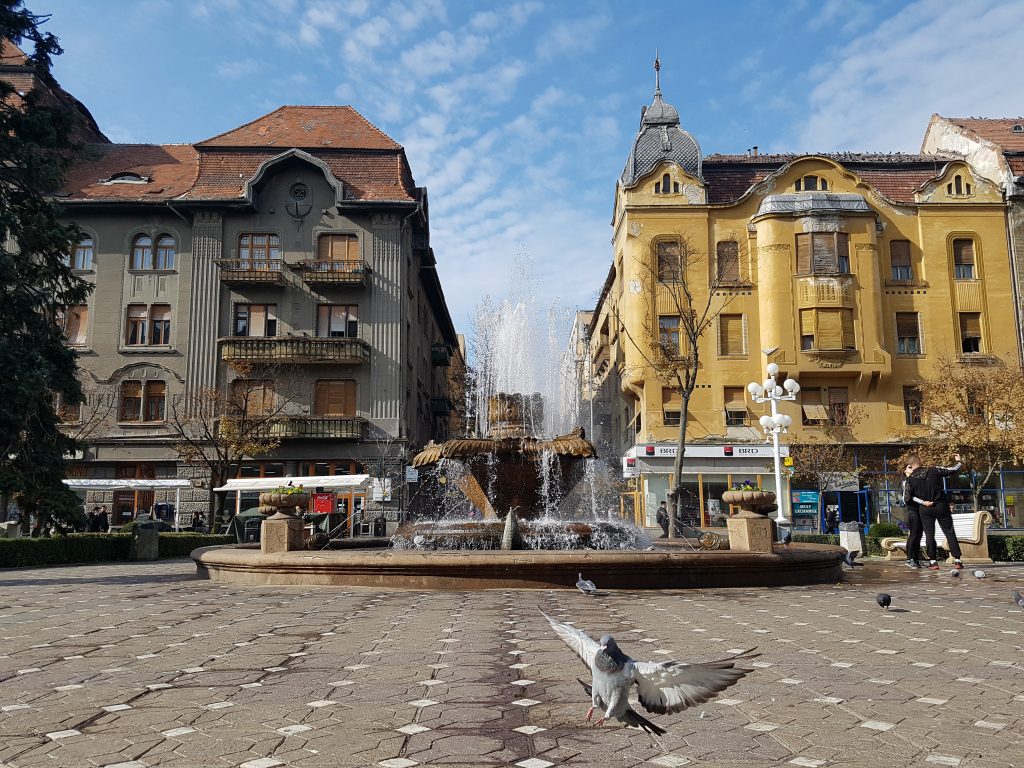 Escapadă romantică la Timișoara