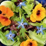Flori multicolore în jardiniere și-n… farfurie