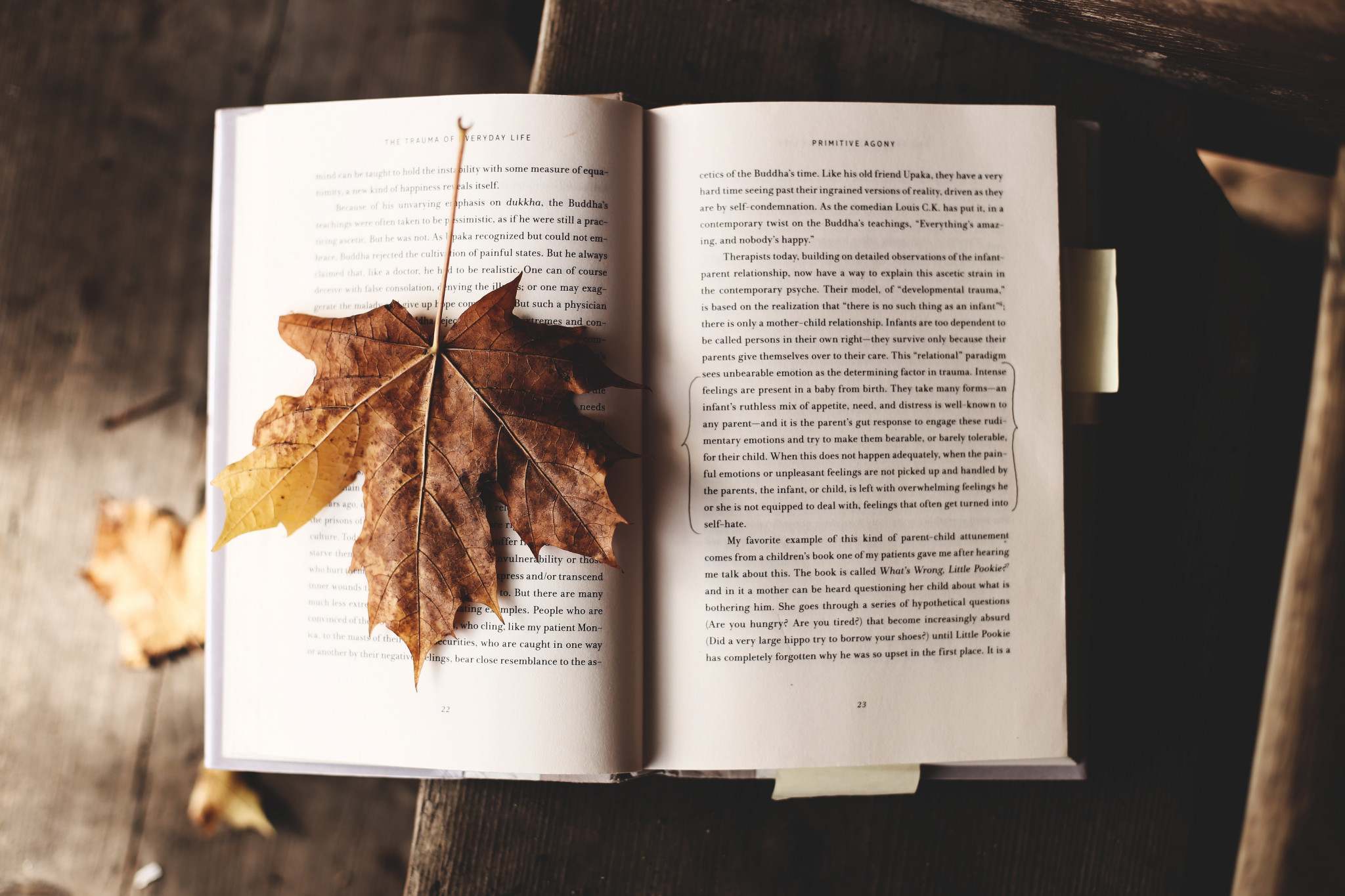 recomandari de lectura