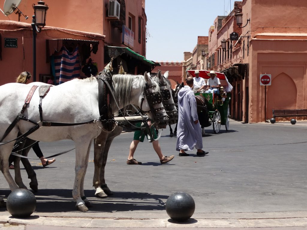 Vacanță plină de culoare în Marrakech