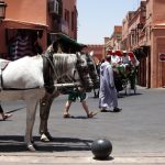 Vacanță plină de culoare în Marrakech