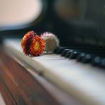 Există lumină dincolo de soarele negru al melancoliei?