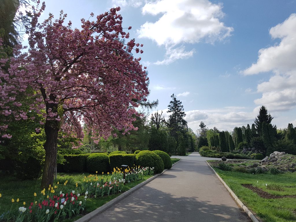 România ca o grădină botanică