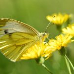Horoscop zilnic - 21 august 2019. Vara pleaca doar cand vrei tu!