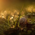Horoscop zilnic 2 august 2019. O zi aparent calma
