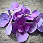Horoscop zilnic - 6 august 2019. O zi speciala!