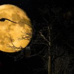 Horoscop zilnic – 11 noiembrie 2020. Realizări și vești bune Horoscop zilnic – 11 noiembrie 2020. Realizări și vești bune
