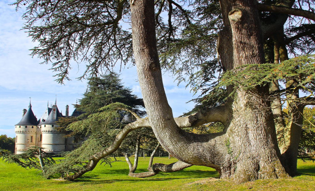 Arta din grădină: Chaumont sur Loire