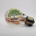 bulb-2368396_1920