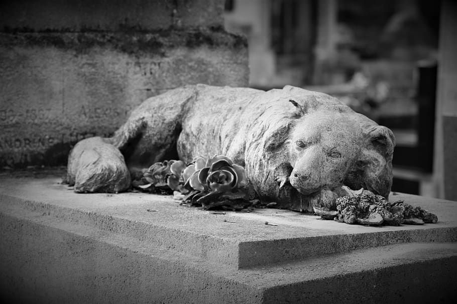 servicii funerare