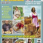 A apărut ediția de august 2020 a revistei Practic în bucătărie!